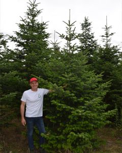 weihnachtsbaum-bestellen-01