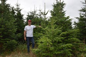 weihnachtsbaum-kaufen-02